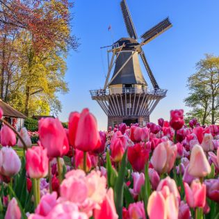 Нидерландия