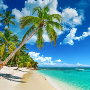 Северна Америка