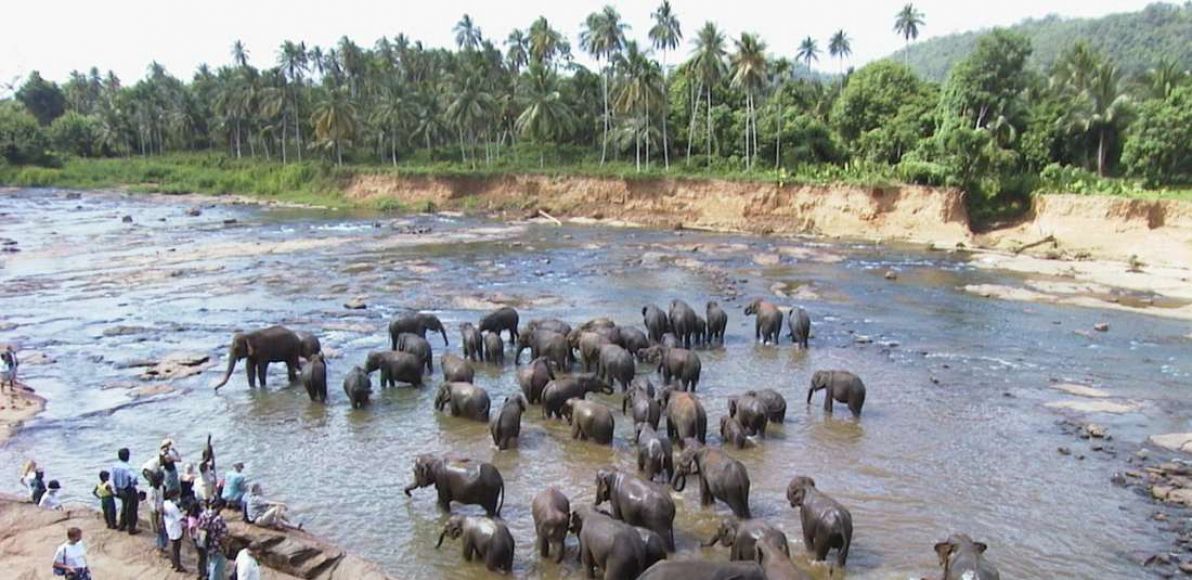 Шри Ланка от Варна