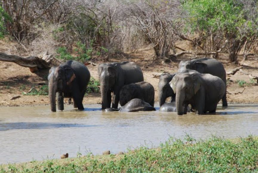 ШРИ ЛАНКА и МАЛДИВИ -  ОФОРМЕНА ГРУПА  13.09.2026