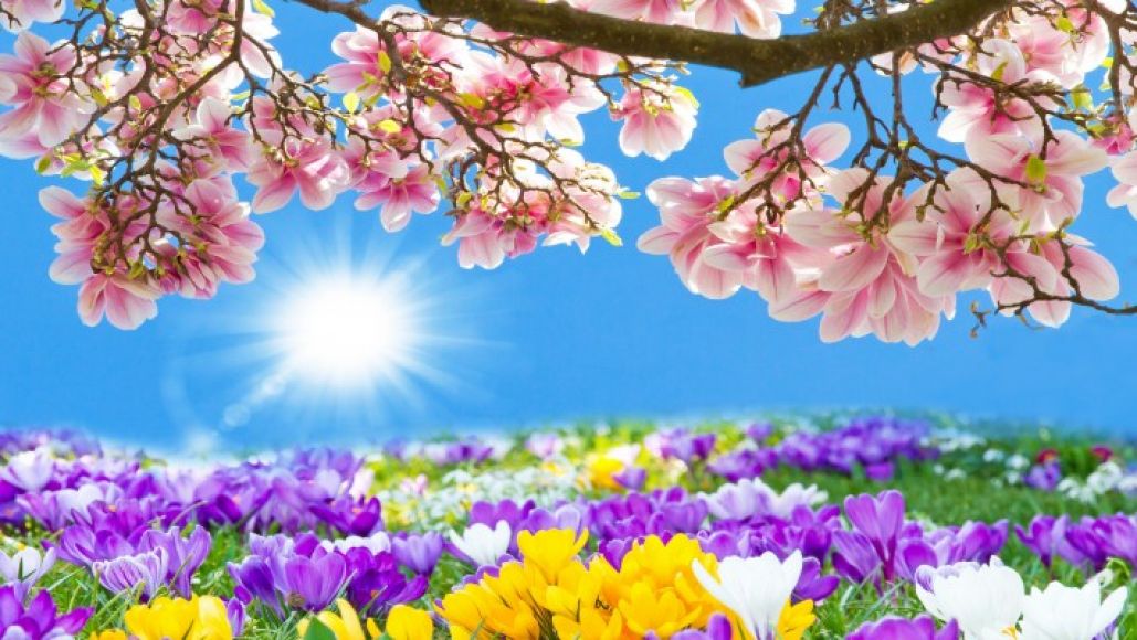 Майски празници в Кушадасъ, 5 нощувки, с автобус от София